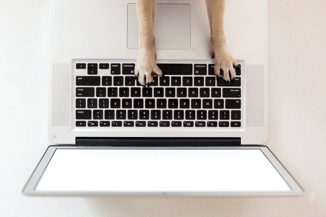 4 Digital Marketing Shifts That Will Reshape the Next Quarter